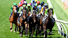 The field pass the post for the first time during the Melbourne Cup. 