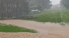 A common sight at Wilton Greens during wet weather.