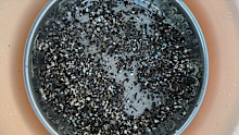 Microplastics are a more recognised issue across the world.