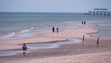 All of Adelaide's beaches either have low or no traces of harmful algae.