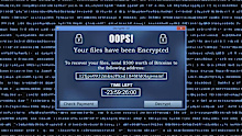 A growing number of Australian businesses are paying ransoms to global crime networks.