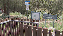 Two 15-year-old girls were allegedly gang raped in this Calamvale park.