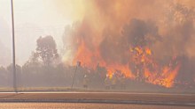 The fire is in Tomago, near Newcastle.﻿