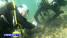 The dedicated efforts of 274 registered volunteers resulted in the removal of 90kg of debris from underwater, and another 154kg from the rock wall.