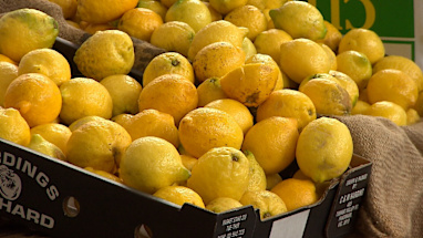 3: Lemons