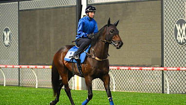 8. Broadsiding (8)