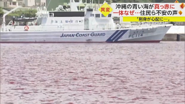 Photos and videos shared online showed blood-red water flowing through the rivers and port areas of Nago city, on the island of Okinawa, a destination better known for emerald waters and sandy beaches.