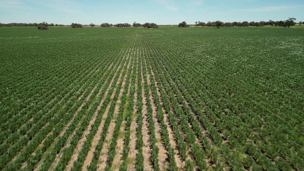 Victorian farmers fear mining in their patch of paradise could mean it's lost forever.