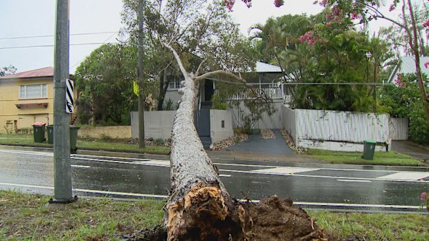 Wild storms have hit multiple states, with thousands told they might not get power back in time for Christmas.