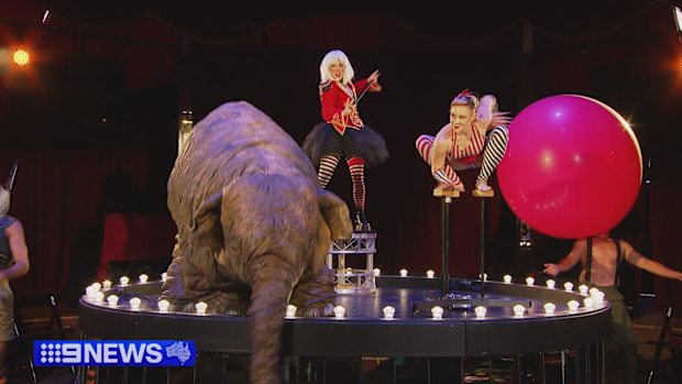Adelaide's Fringe Festival has launched for 2025.