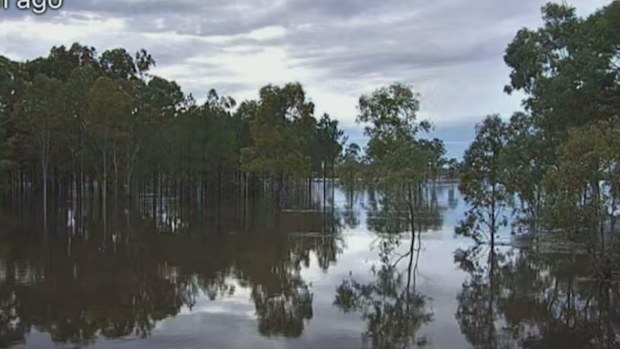 Unrelenting rainfall in parts of the state saw paddocks sodden and left roads under water due to a tropical low.