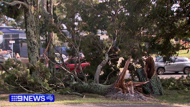 A massive cleanup effort is now underway across South-East Queensland.