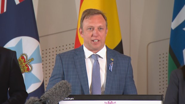 Queensland Premier hopeful Steven Miles has thrown his support behind treasurer Cameron Dick to be the next Deputy Premier.
