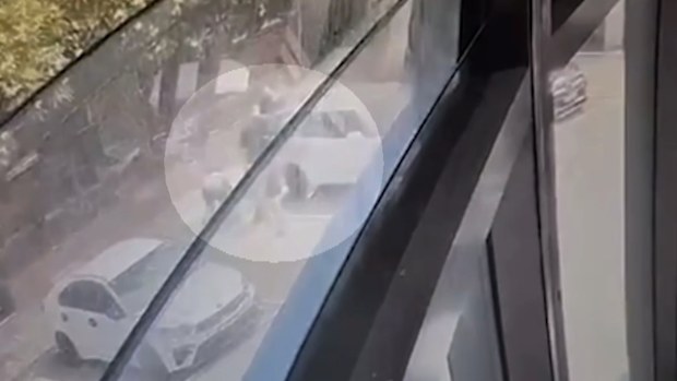 A number of shots were fired at a group of men standing by a car on The Boulevard in Brighton-Le Sands at 3.15pm yesterday.