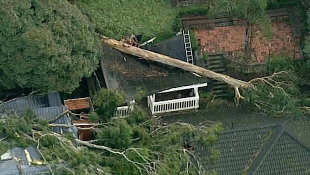 Power outages Victoria: Thousands of homes in darkness after wild storm ...