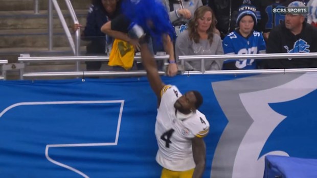 NFL News 2025: Pittsburgh Steelers receiver DK Metcalf punches fan during game against Detroit Lions