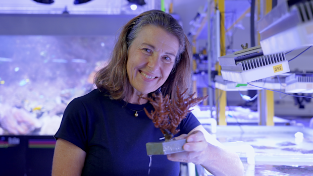 Museum of Underwater Art, Dr. Katharina Fabricius, Katharina Fabricius, My Way 2025, My Way
