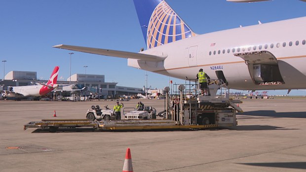 New technology is helping to streamline the boarding process at Sydney Airport, after months of delays and long lines.