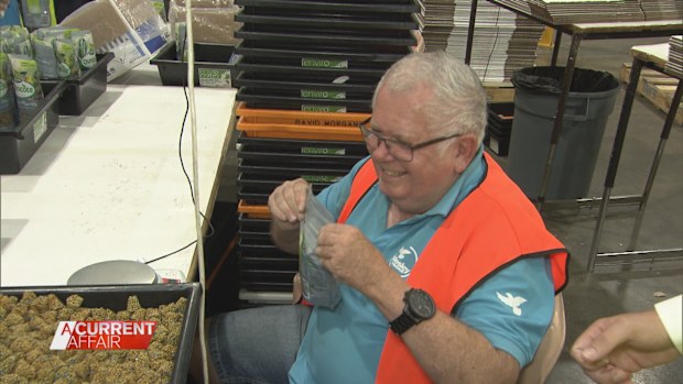 It's been dubbed Australia's happiest workplace, simply because no one wants to leave.