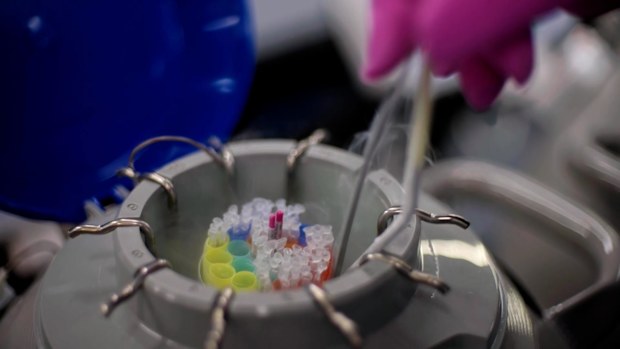 Why more and more women feel they are being pushed to freeze their eggs