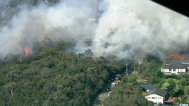 The first major blaze to break out in Sydney has erupted this afternoon, with embers lighting up a fresh blaze in Sydney's Upper North Shore.