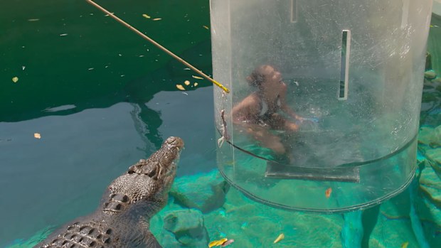 Lauren Phillips Crocosaurus Cove Getaway