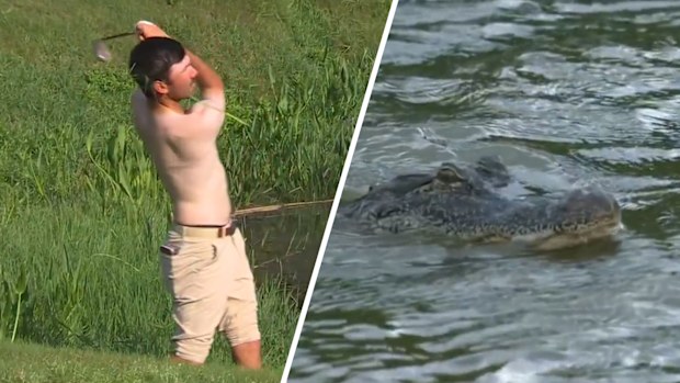 Little-known American Chandler Phillips took off his shirt, shoes and socks to play a shot from the banks of an alligator-infested lake during the third round of the PGA Zurich Classic.