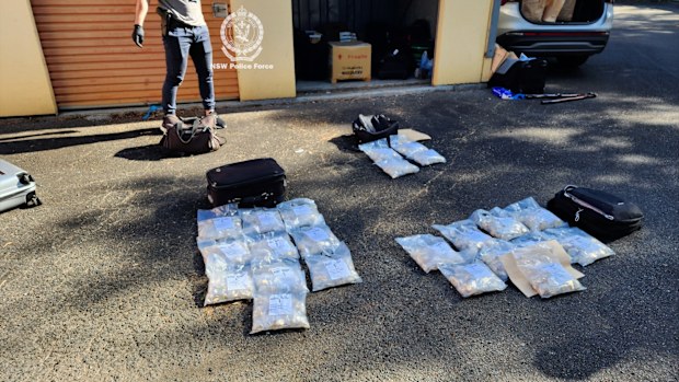 Bluey coins found by police