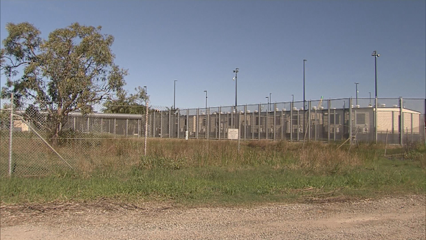 Queensland's independent auditor has delivered a critical assessment of the way the state government ordered the Wellcamp quarantine facility.
