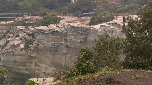 A woman, believed to be a British tourist, has died after falling down a cliff in Sydney's Eastern Suburbs.
