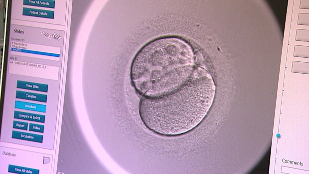 New mother Lisa Smith turned to IVF after only having a small window to start a family in between her breast cancer treatments.