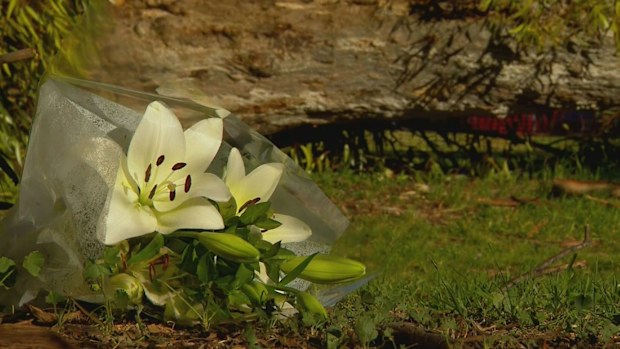 A young woman who died after she was hit by a falling tree branch in the parklands at North Adelaide has been remembered as a "beautiful person" who was loved by her friends. Flowers were left in the park, which is popular with university students and runners.