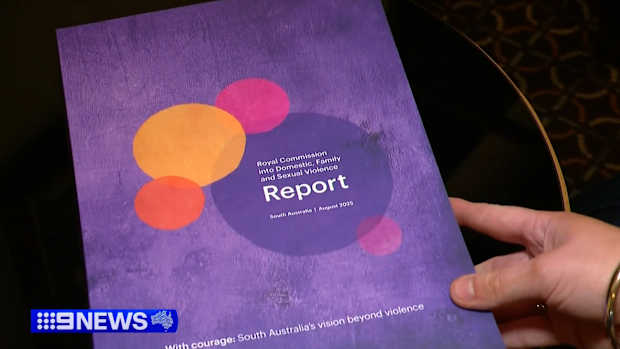 The findings of the year-long Domestic Violence Royal Commission resulted in 136 recommendations on how to manage the crisis.
