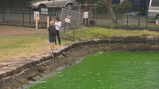 Part of Sydney Harbour has turned neon green, with authorities urgently investigating the cause. 