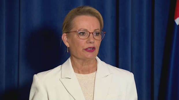 Liberal leader Sussan Ley said she was disappointed with the split from the Nationals.