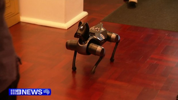 Adelaide is set to be at the forefront of Artificial Intelligence (AI) advancement in Australia, as the technology rapidly expands worldwide. 