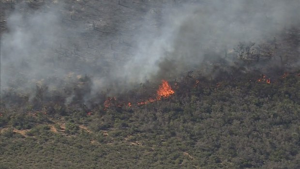 Wedge Island fire updates: Communities on edge as massive bushfire ...