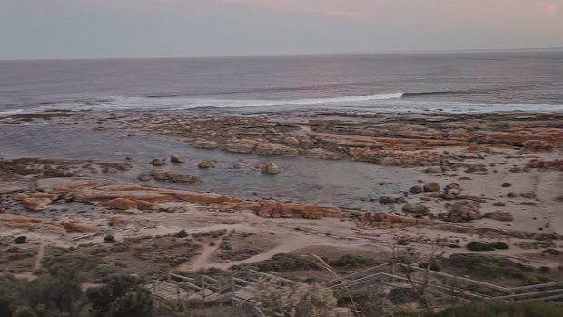 The search for the body of a shark attack victim will continue off a South Australian beach today.