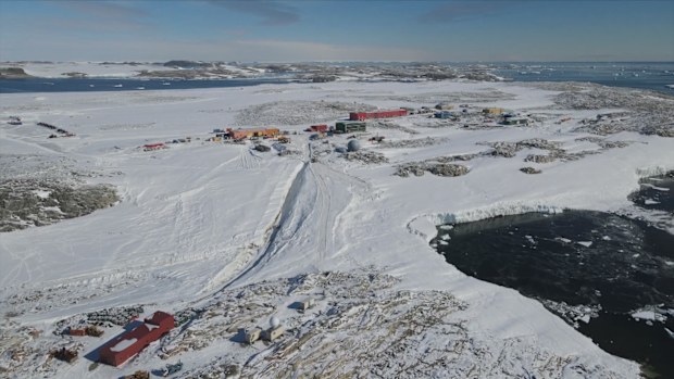 Antarctica Christmas 