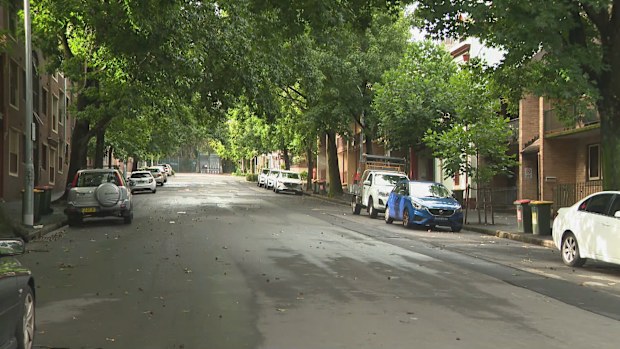 An alleged kidnapping was busted after a neighbour's noise complaint led police to an injured woman in a Sydney apartment.