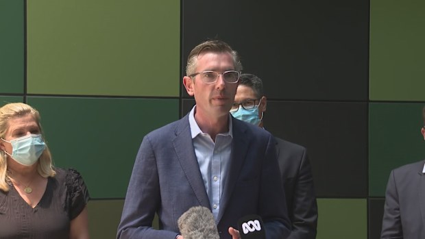 NSW Premier addresses reports of pregnant women lining up for COVID-19 testing.