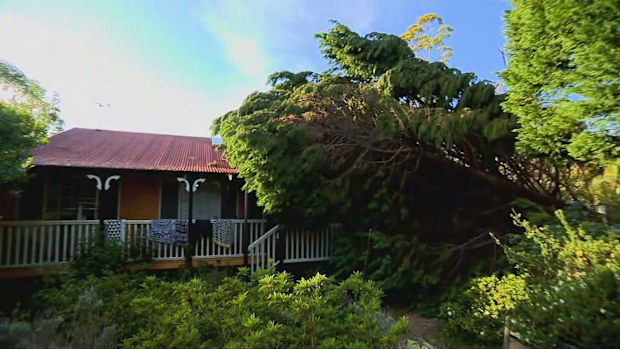 A tree smashed through the roof of a home on Tamborine mountain.
