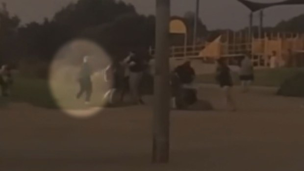 A brawl broke out between families at the St Kilda Adventure Park in Adelaide on Easter Sunday. 