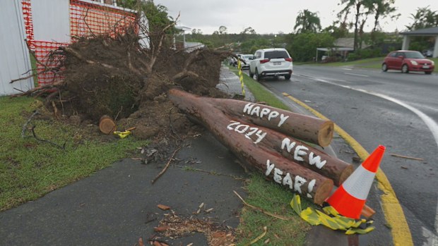 Winds knock tree over