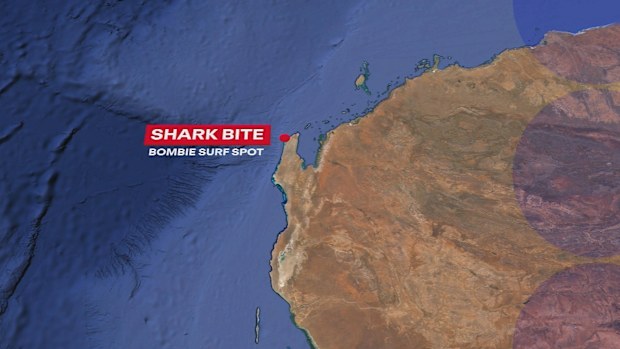 Shark Attack