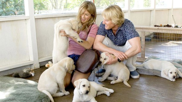 Marley and Me