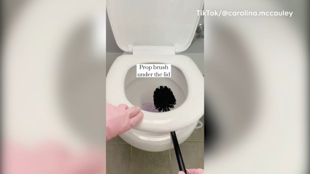 Bathroom cleaning toilet brush TikTok hack