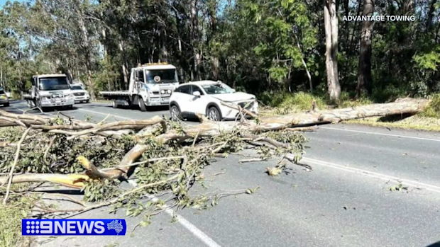 Wild weather smashes Queensland's south-east