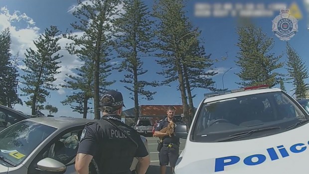Sausage dog rescued from hot car on the Gold Coast