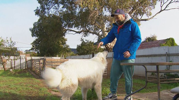 An Adelaide man has been reunited with his Maremma.